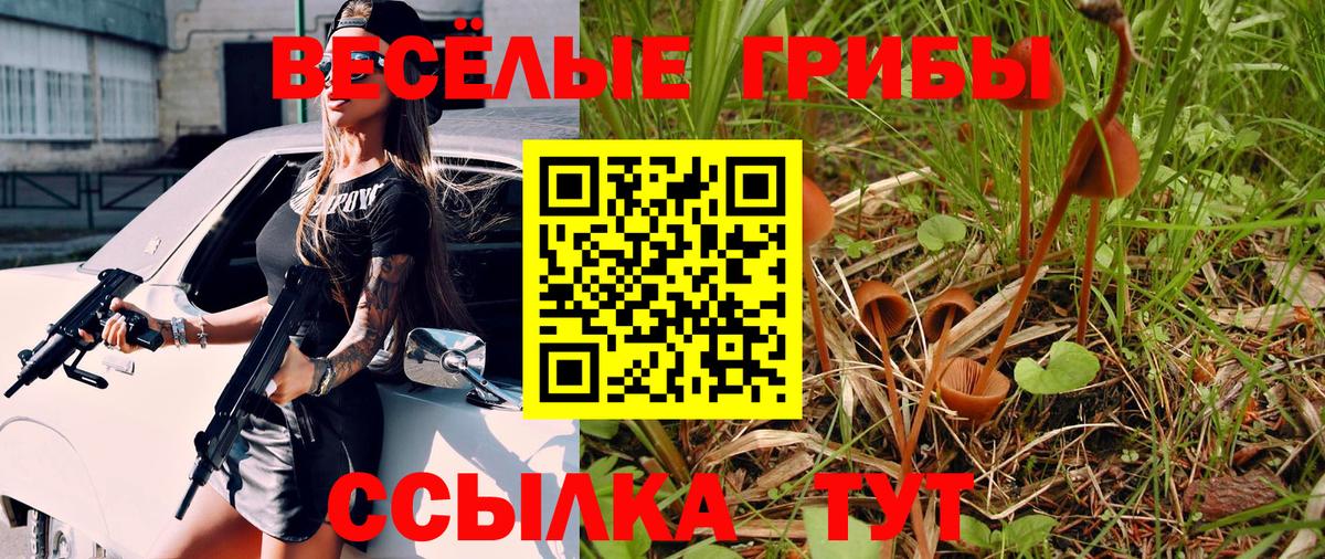 Галлюциногенные грибы GOLDEN TEACHER  Псилоцибиновые грибы Cubensis  Вход с VPN  Лесной 