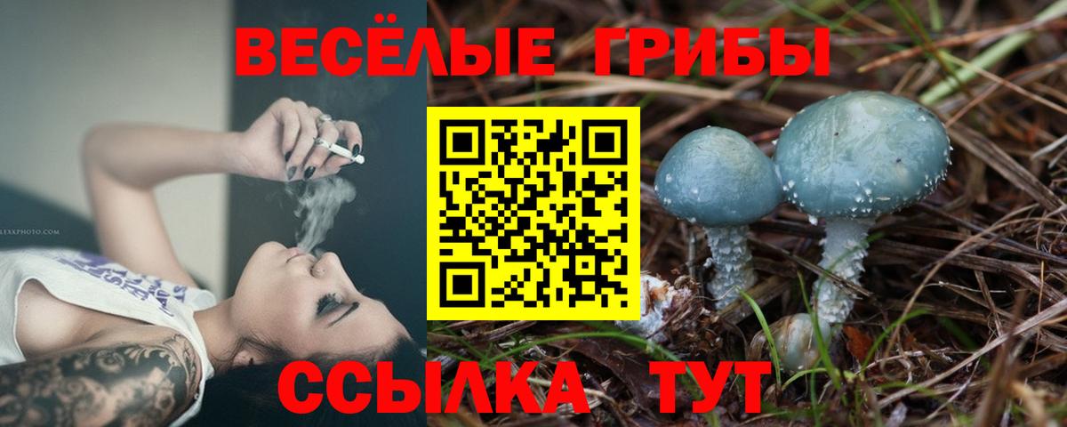 Псилоцибиновые грибы Psilocybe Лесной